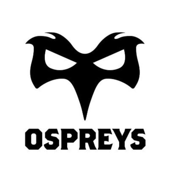 Lance Bradley appointed Ospreys CEO