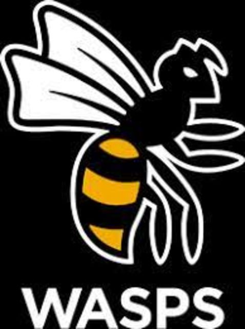 Wasps given place in 2023 Championship season